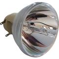 Nackte Osram Lampe OPTOMA EH415e Bulb-DE.5811118924-SOT / BL-FP280J Nackte Osram Lampe