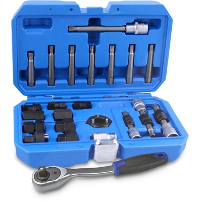 Enva Lichtmaschinen Bit und Bit-Einsatz-Satz 22-tlg. + Umschaltknarre [Hersteller-Nr. 40792587] Image