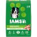 Iams ProActive Health MiniChunks Adult Chicken and Whole Grain Recipe Dry Dog Food