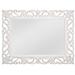 Delaney 48"H Transitional Styled Wall Mirror