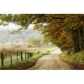 Red Barrel Studio® Autumn On A Country Road Canvas | 12" H x 18" W | Wayfair B70AC280E6A149D6A005484A3AAB94B9