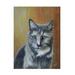 Winston Porter Pet Portrait Of Pickles The Cat by Steve Crockett Canvas Art Canvas | 14 H x 19 W x 2 D in | Wayfair