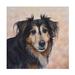 Winston Porter Pet Portrait Of Buster The Dog On Canvas by Steve Crockett Canvas Art Canvas in Black | 35 H x 35 W x 2 D in | Wayfair
