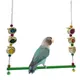 Support de perchoir en bois pour oiseaux perroquet pour animaux de compagnie perroquet coloré