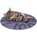 HAUSSIMPLE Cat Bed Mat Natural Merino Cozy Wool Large Carpet for Pet Cat Kitty Small Dog- Gray Tiger