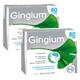 Gingium 80 MG Filmtabl Doppelpack 2x120 St Filmtabletten