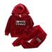 Boys Girls 2Pcs Velvet Outfits Set Toddler Kids Hoodies Sweatshirt Sweatpants Fall Winter Sweatsuit