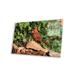 Latitude Run® Northern Cardinal Male, Santa Rita Mountains, Arizona On by Tom Vezo Print in Black/Green | 16 H x 24 W x 0.25 D in | Wayfair