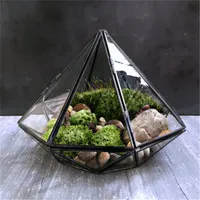 terrarium glas