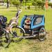 Dog Bike Trailer Foldable Pet Cart with 3 Entrances for Travel