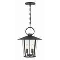 Crystorama Andover 4 Light Matte Black Outdoor Chandelier - 14 W x 17 H