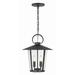 Crystorama Andover 4 Light Matte Black Outdoor Chandelier - 14 W x 17 H