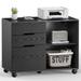 Modern Filing Cabinet 5-Drawer File Cabinet for Home Office Mobile Lateral Filing Cabinet Printer Stand with Open Storage Shelves for Kids Room