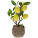 Artificial Potted Lemon Tree Realistic Lemon Bonsai Artificial Fruit Tree Decor