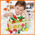 Montessori Toys for Baby Boys Girls1 2 3 4Year Wooden Puzzle Carrot Harvest Toy Game Shape Sorting