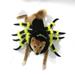 Taylongift Christmas Black X Friday Halloween Pet Clothes Halloween Pet Costume Cape Spooky Dog With Knife Bloody Dress With Hat