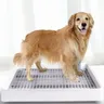 Pet Dog Toilet Puppy vasino orinatoio lavabo vasino vasino vassoio di addestramento per pipì cani di