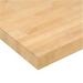 48 x 30 x 10.75 in. Birch Butcher Block Square Edge Workbench Top - Birch - 48in. W x 30in. D x 10.75in.