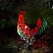 Rooster Decor Chicken Statues with Solar Light for Garden Metal Yard Art Sculpture for Kitchen Backyard Farm Patio Lawn Home Decorations