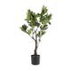 Artificial Bay Tree in Black Pot 70cm (2ft)