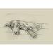 Charlton Home® Dog Days II by Ethan Harper - Drawing Print on Canvas Paper, Wood in Gray | 33.75 H x 49.75 W x 0.75 D in | Wayfair