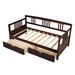 Lark Manor™ Seelyville Size Daybed Wood Bed w/ Seelyville Size Trundle Wood in Brown/Green | 35.4 H x 41.2 W x 78.2 D in | Wayfair