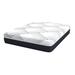 Queen 12.25" Gel/Foam Mattress - Alwyn Home Cerqueira Plush Gel Memory Foam | 80 H x 60 W 12.25 D in Wayfair 65B8AAAF9F78413492165A4324F32FAC