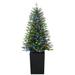 The Holiday Aisle® 80.3' Lighted Pine Christmas Tree in Green | 16.5 D in | Wayfair B82168657B9845A5A4C7EBD3E8409E3E