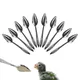 Bird Feeder Spoons 10pcs Bird Parrot Hand Feeder Spoon With Manual Syringe Baby Bird Water Milk