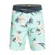 Boardshorts QUIKSILVER "Surfsilk QS 69 19"" Gr. 30(S), grün (beach glass) Herren Hosen Boardshorts