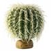 [Pack of 4] Exo Terra Desert Barrel Cactus Terrarium Plant Large - 1 count