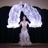 Voile d'éventail de danse du ventre à LED spectacle de lumière spectacle de carnaval danse du
