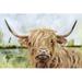 Steelside™ Highland Grazer I by Victoria Borges Painting Print on Canvas Paper in Brown/Gray/Green | 12" H x 18" W | Wayfair