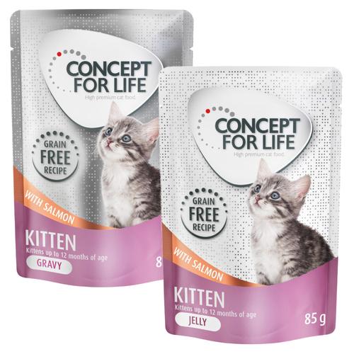 24 x 85 g Concept for Life Kitten Lachs getreidefrei Katzenfutter nass