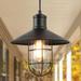 LNC 1-Light Farmhouse Lantern Pendant Light/Clear Glass Mini LED Kitchen Island Light 10.2 D x 10.2 H