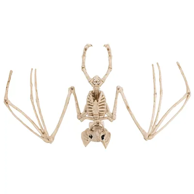 Dekoration Fledermaus-Skelett