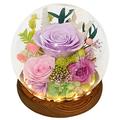 Valley of Rain & Forest Long-Lasting Real Flowers, Floral Gift Symbolic of Love for All Occasions, for Indoor Decoration (Light-Purple Rose, Light-Pink Rose, Purple-Pink Austin Rose)