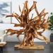 Brown Teak Wood Handmade Large Oversized Tree Root Floor Abstract Sculpture with Live Edge Teak Base