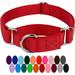 Red Martingale Heavy Duty Nylon Dog Collar - 21 Vibrant Color Options (3/4 Inch Width Small)