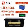 6000 Zyklen neu ein Lifepo4 12V 24V 48V 100ah 200ah Lithium-Akku mit LCD für RV Rikscha Sattel