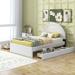 Twin/Full Size Teddy Fabric Upholstered Platform Bed With Four Storage Drawers