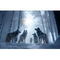 Wooden Adult Jigsaw Puzzle 1000 Piece, Pack Of Wolves In Winter Frost Snow Forest Puzzle Home Decor Gifts 75X50Cm