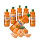 Sunquick Real Fruit Concentrate Juicer - Fruity Refreshment (Mandarin, 6 Bottles)