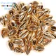 10-20mm Natural Gold Color Seashell Cowrie Conch Loose Spacer Beads Beach DIY for Jewelry Making Sea