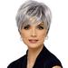 Ediodpoh Wig European and American Short Curly Hair Grandma Gray Partial Headgear Wig Wigs for Women Multicolor