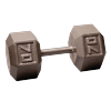 Body-Solid Cast Iron Hex Dumbbells from 1 to 100 lb. 70 lb.