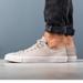 Converse Shoes | Converse Men’s Chuck Taylor All Star Ox Plimsolls Size 10 Low Top | Color: Cream/Gray | Size: 10