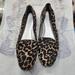 Coach Shoes | Coach Leopard Print Mohair Flats 9.5 | Color: Black/Brown | Size: 9.5