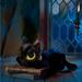 Disney Toys | Disney Parks Hocus Pocus Thackery Binx Cat Plush | Color: Black/Yellow | Size: Os