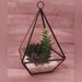 Anthropologie Accents | *Last One Left* Hanging Terrarium Container Flower Planter Glass Air Plants New! | Color: Black/Green | Size: Os